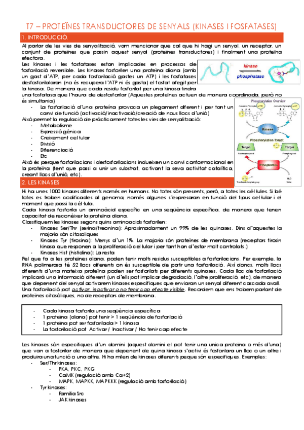 Miniatura del documento T7-PROTEINES-TRANSDUCTORES-DE-SENYALS.pdf