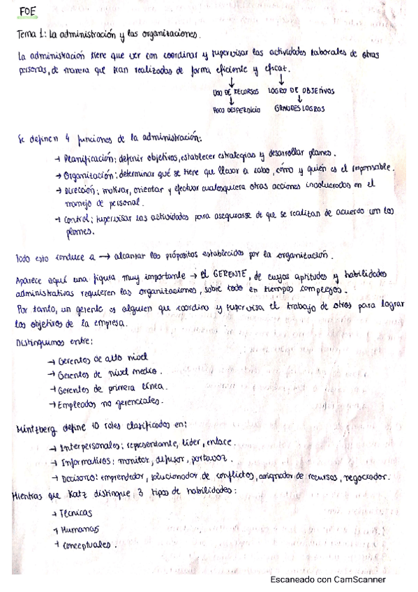 Miniatura del documento Tema-1-FOE.pdf