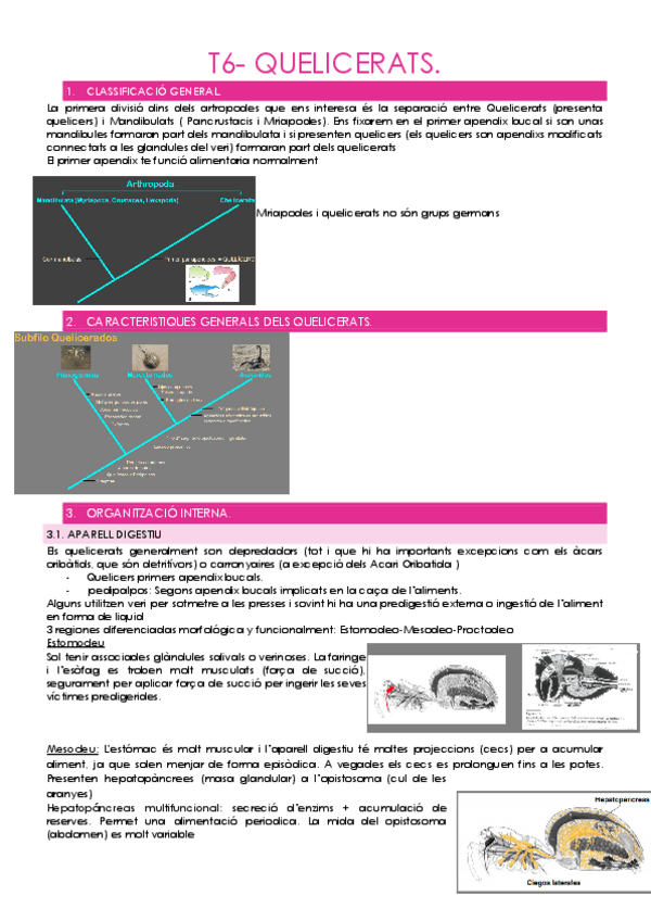 Miniatura del documento T6-SUBFILUM-QUELICERATS.pdf