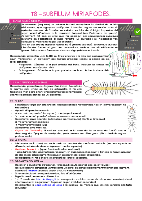 Miniatura del documento T8---SUBFILUM-MIRIAPODES.pdf