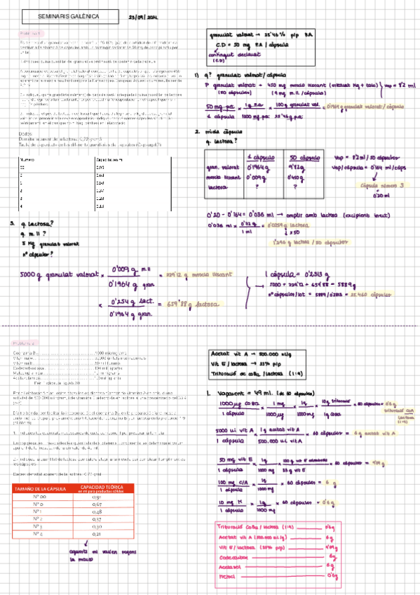 Miniatura del documento SEMINARIS-GALENICA.pdf
