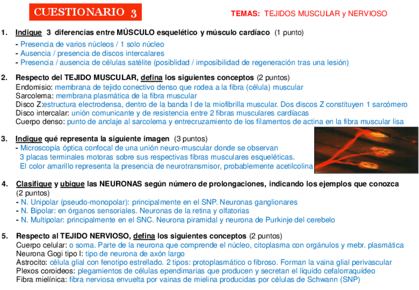 Miniatura del documento CUESTIONARIO-3-resuelto.pdf