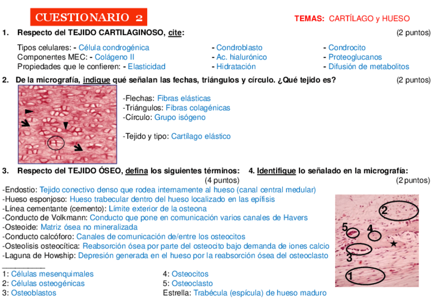 Miniatura del documento CUESTIONARIO-2-resuelto.pdf
