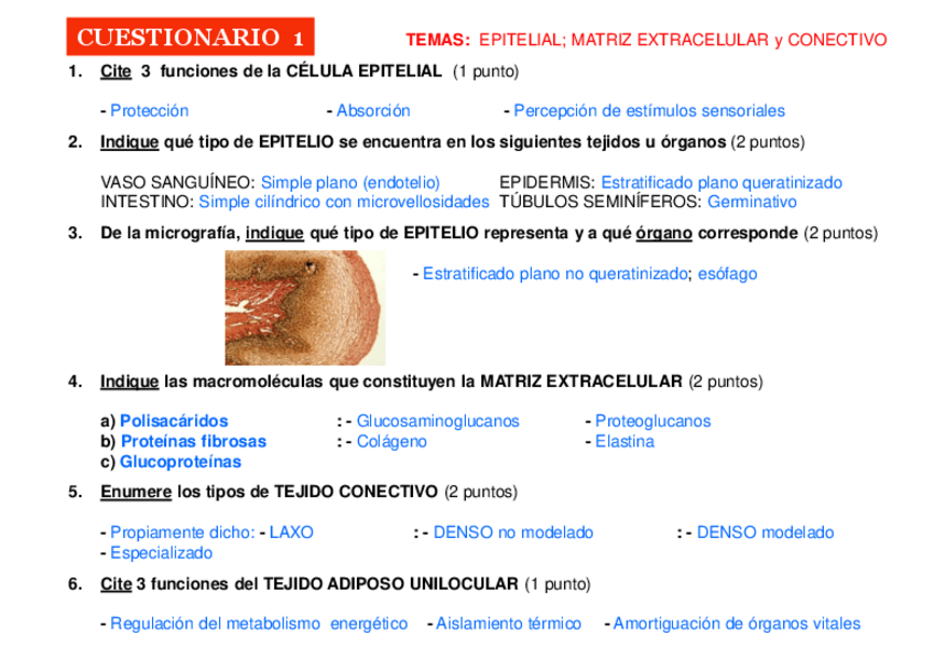 Miniatura del documento CUESTIONARIO-1-resuelto.pdf