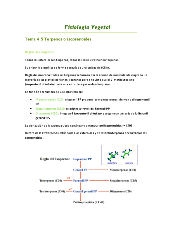 Miniatura del documento Tema-4.pdf