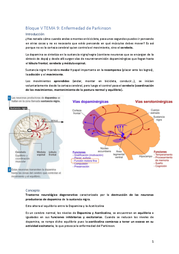 Miniatura del documento BLOQUE-V-TEMA-9.pdf