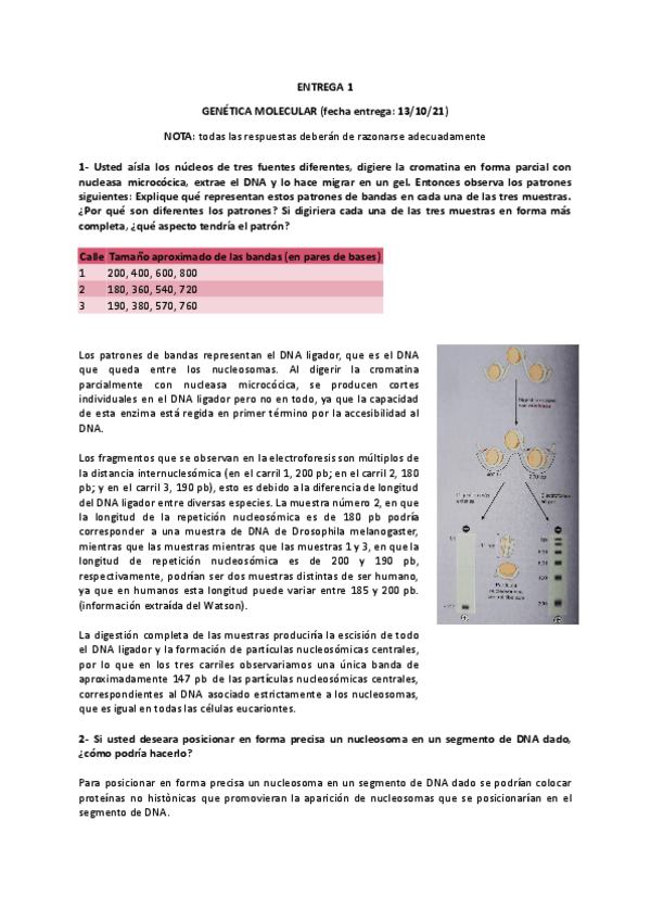 Miniatura del documento Entrega-GM.pdf
