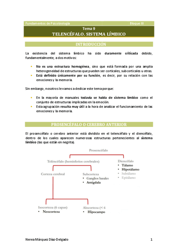 Miniatura del documento Tema-9-Telencefalo.pdf