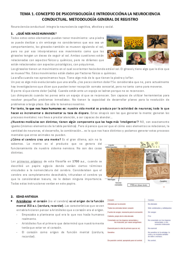 Miniatura del documento TEMA-1.pdf