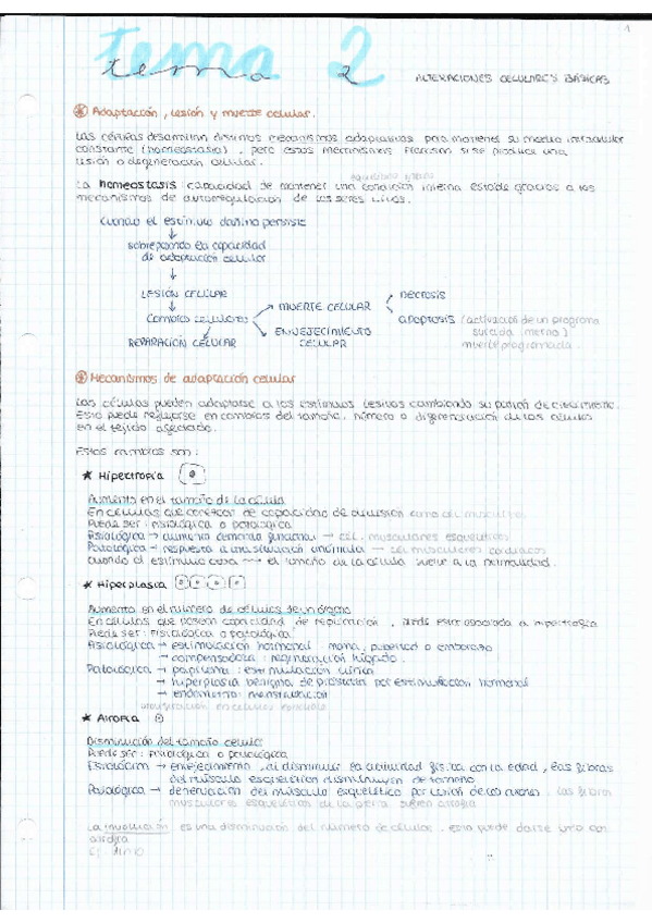 Miniatura del documento TEMA-2-GENE.pdf