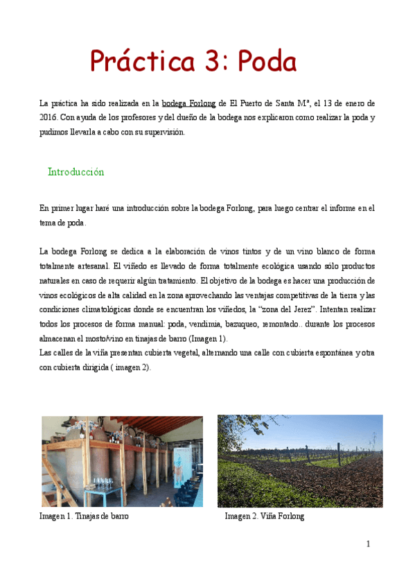 Miniatura del documento practica 3_Laura.pdf