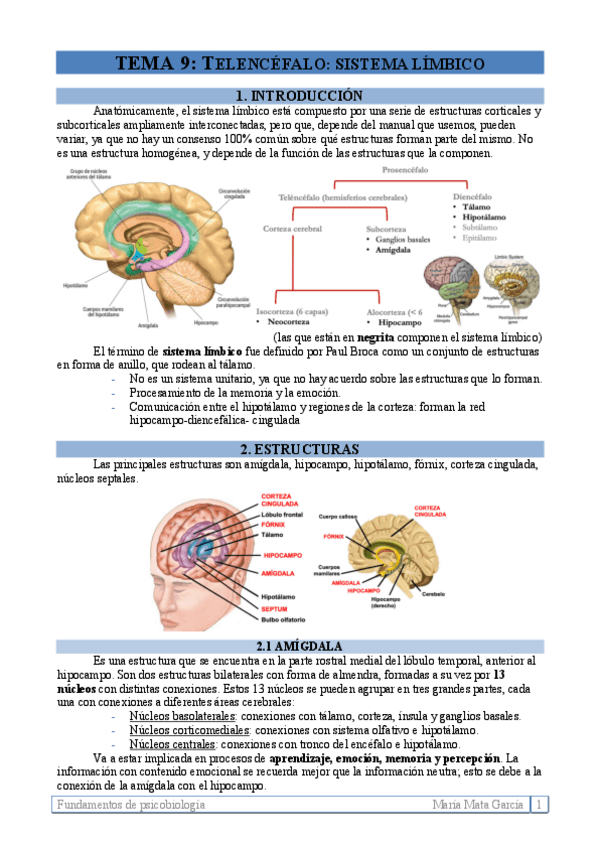 Miniatura del documento TEMA 9. Sistema límbico
