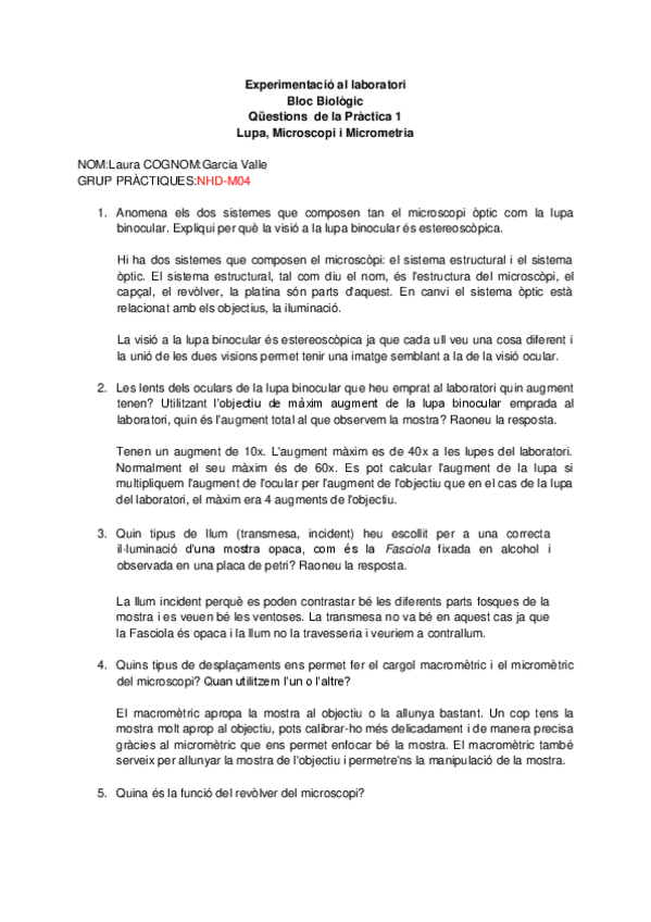 Miniatura del documento QUESTIONS-PRACTICA-1.pdf