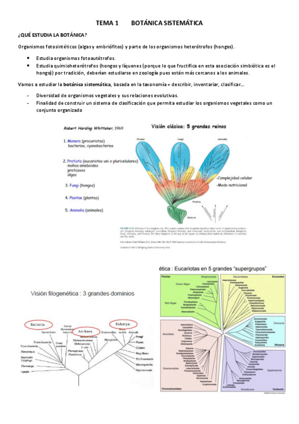 Miniatura del documento TEMA-1.pdf