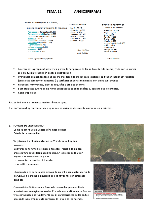 Miniatura del documento TEMA-11.pdf