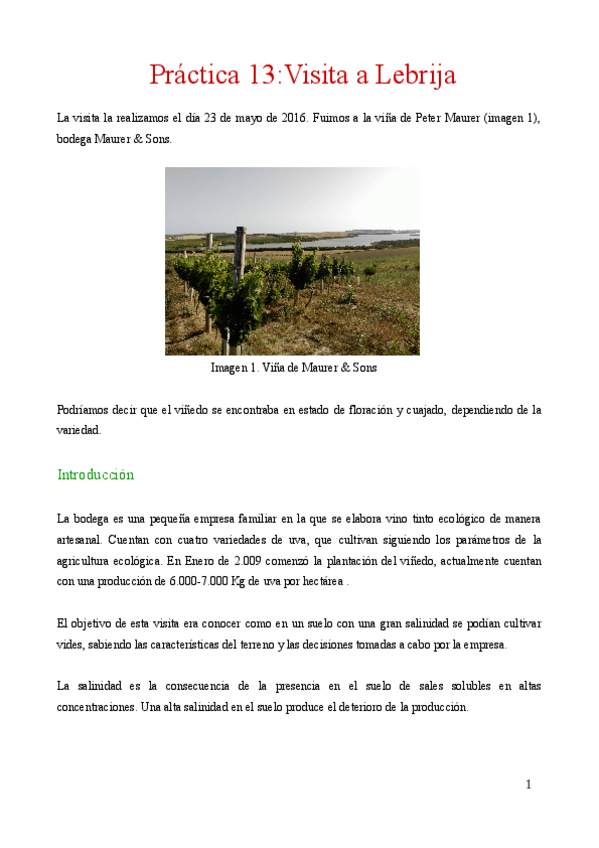 Miniatura del documento practica 13_Laura.pdf