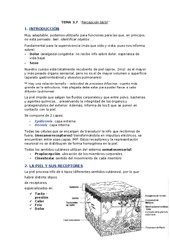 Miniatura del documento TEMA-3.docx