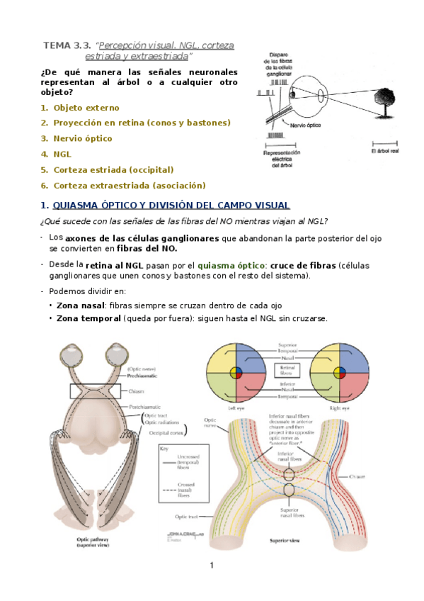 Miniatura del documento TEMA-3.docx