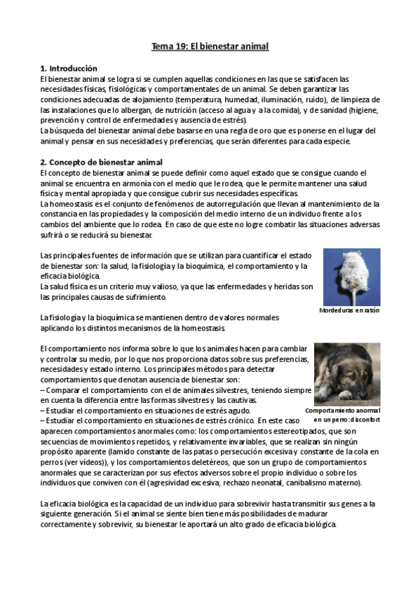 Miniatura del documento Tema-19.pdf