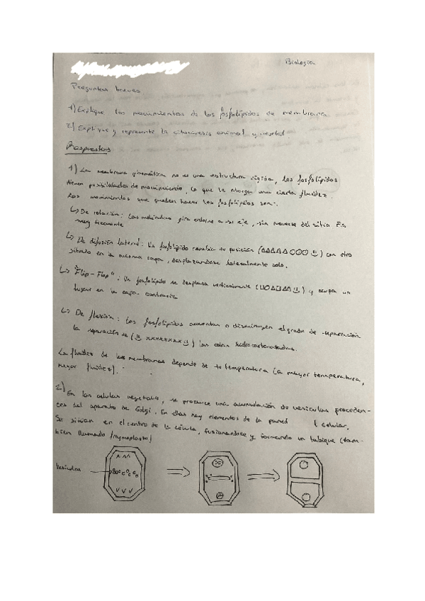 Miniatura del documento BREVES.pdf