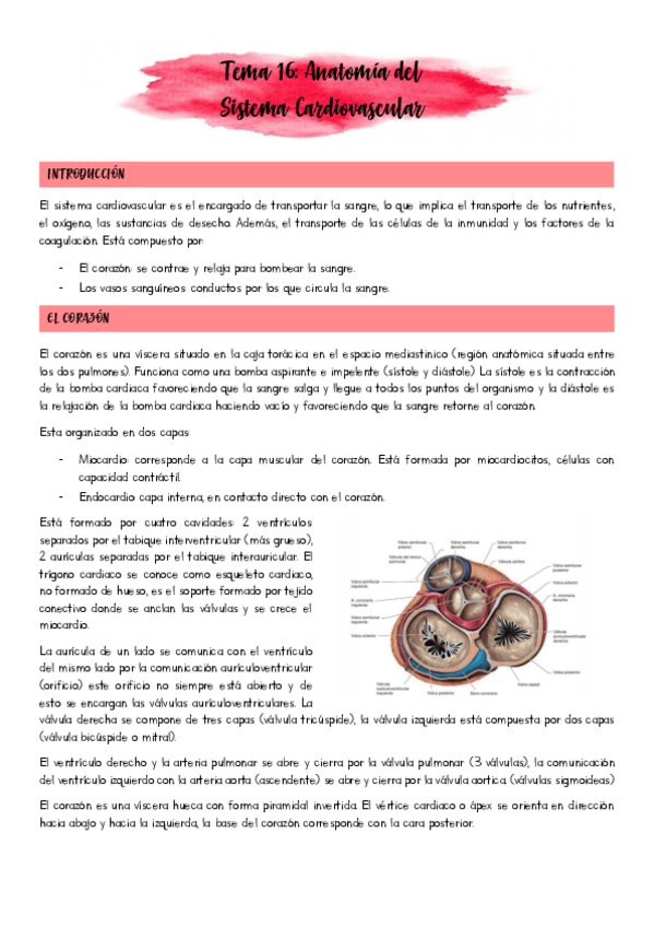 Miniatura del documento Tema-16.pdf