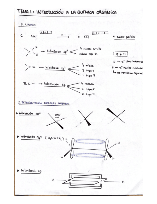 Miniatura del documento RESUMEN-TEORIA.pdf