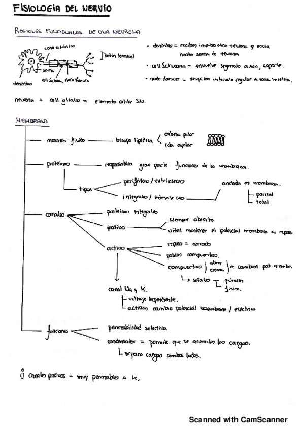 Miniatura del documento TEORIA-PRACTICAS.pdf
