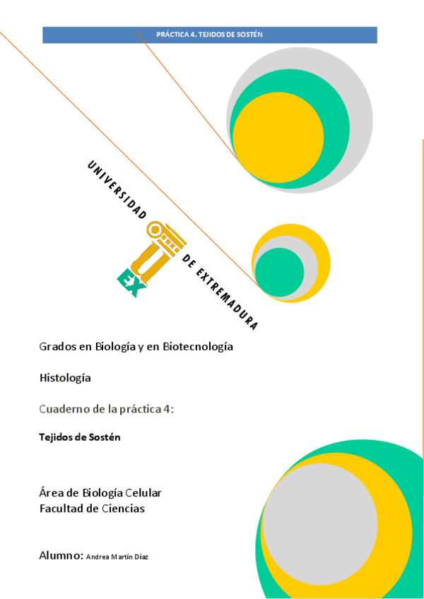 Miniatura del documento PRACTICA-TEJIDOS-DE-SOSTEN.pdf