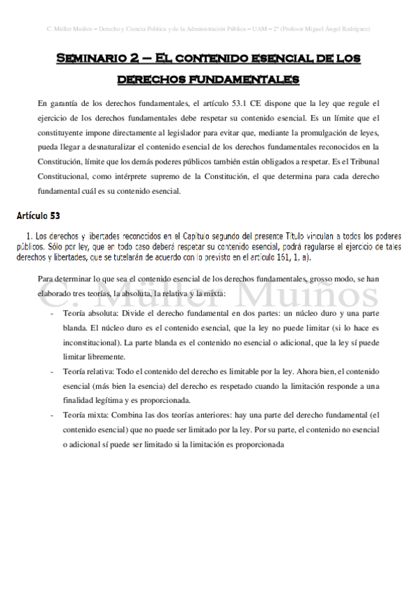 Miniatura del documento Seminario-2-El-contenido-esencial-de-los-derechos-fundamentales.pdf