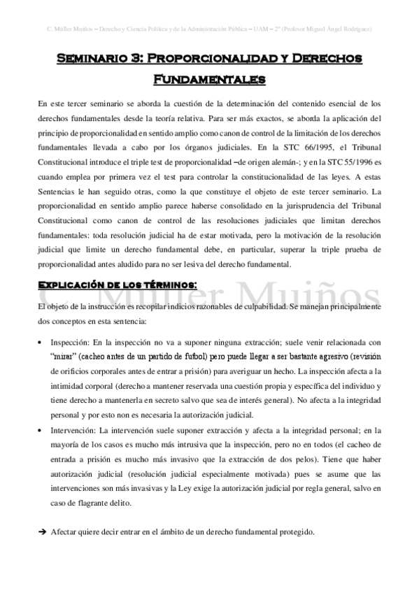 Miniatura del documento Seminario-3-Proporcionalidad-y-Derechos-Fundamentales.pdf