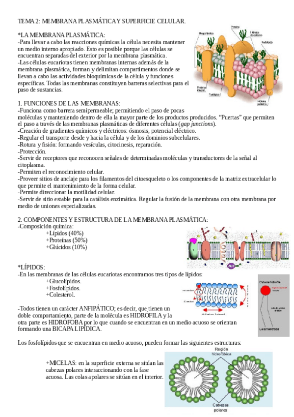 Miniatura del documento Biologia-Tema-2.pdf