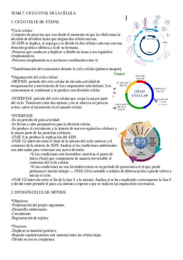 Miniatura del documento Biologia-Tema-7.pdf