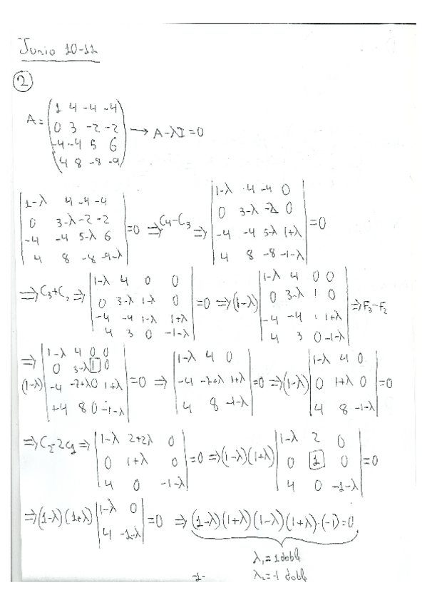 Miniatura del documento Diagonalizacion-de-matrices-ejercicios-de-examen.pdf