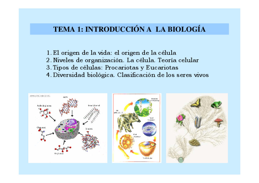 Miniatura del documento Tema-1-INTRODUCCION-A-LA-BIOLOGIA.pdf