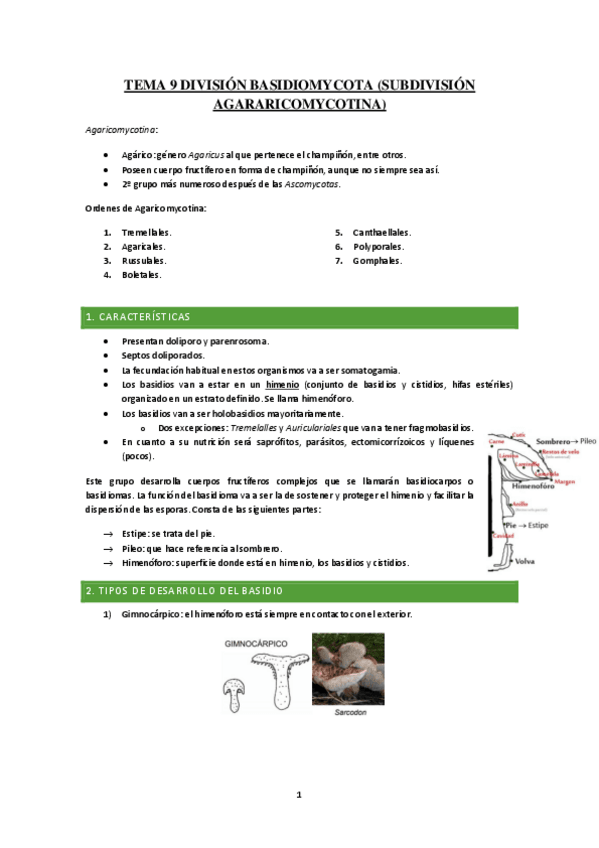 Miniatura del documento Tema-9-Division-Basidiomycota.pdf