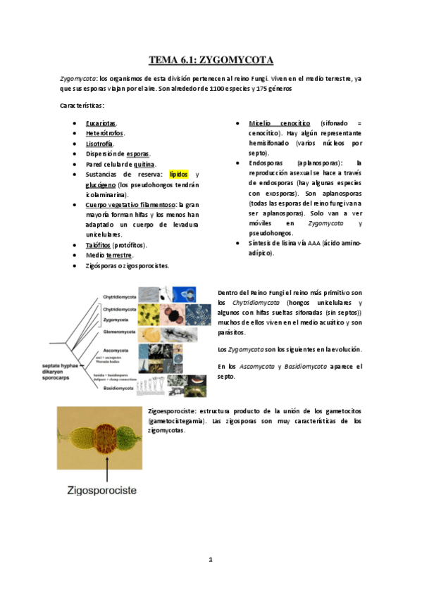 Miniatura del documento Tema-6.pdf