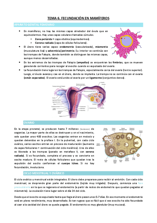 Miniatura del documento TEMA-6.pdf