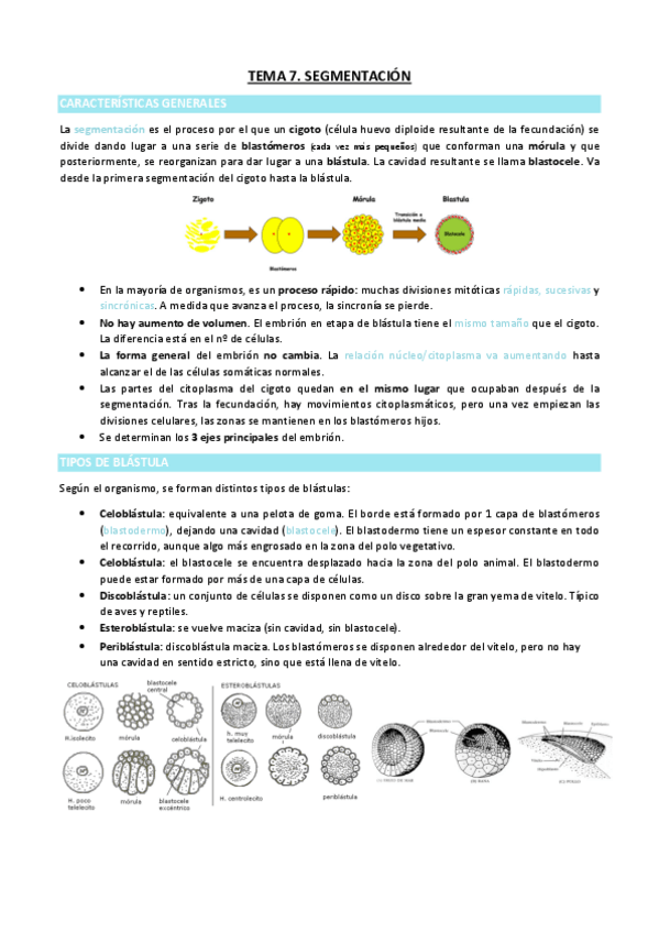 Miniatura del documento TEMA-7.pdf