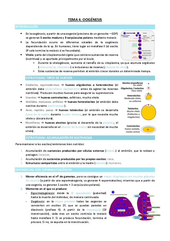 Miniatura del documento TEMA-4.pdf