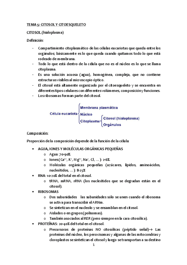 Miniatura del documento Tema-5-citosol-y-citoesqueleto.pdf