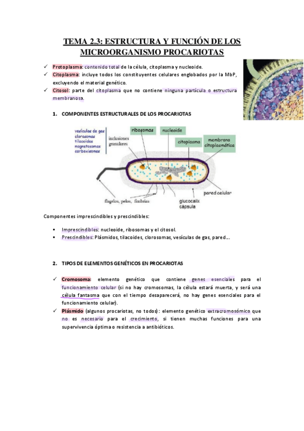 Miniatura del documento TEMA-2.pdf