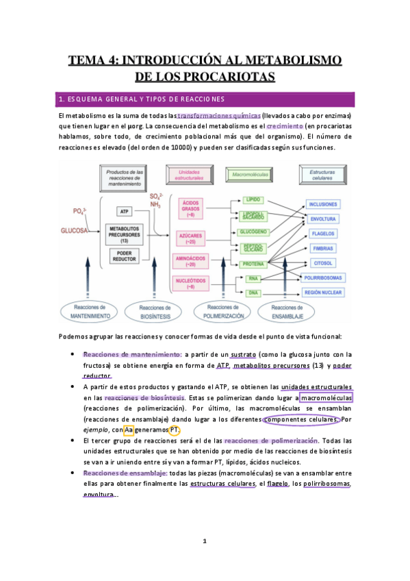 Miniatura del documento TEMA-4-INTRODUCCION-AL-METABOLISMO.pdf