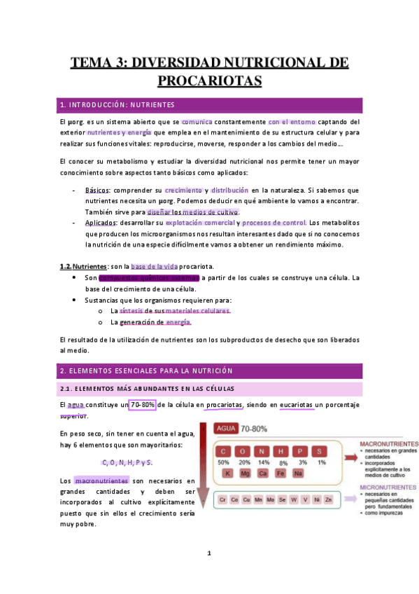 Miniatura del documento TEMA-3-DIVERSIDAD-NUTRICIONAL.pdf