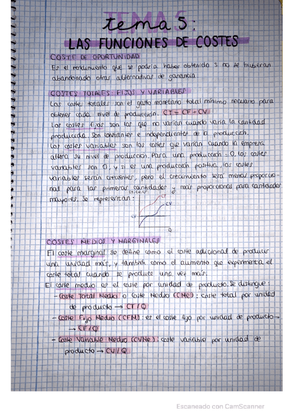 Miniatura del documento TEMA-4.pdf