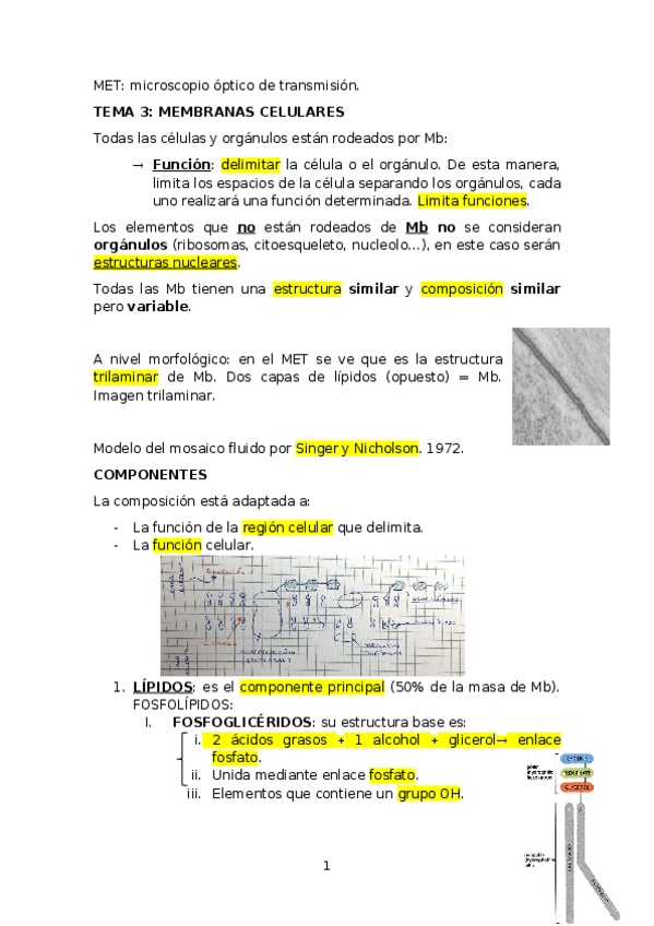 Miniatura del documento Tema-3.docx