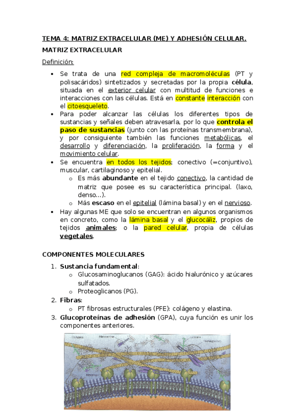 Miniatura del documento Tema-4-ME.docx