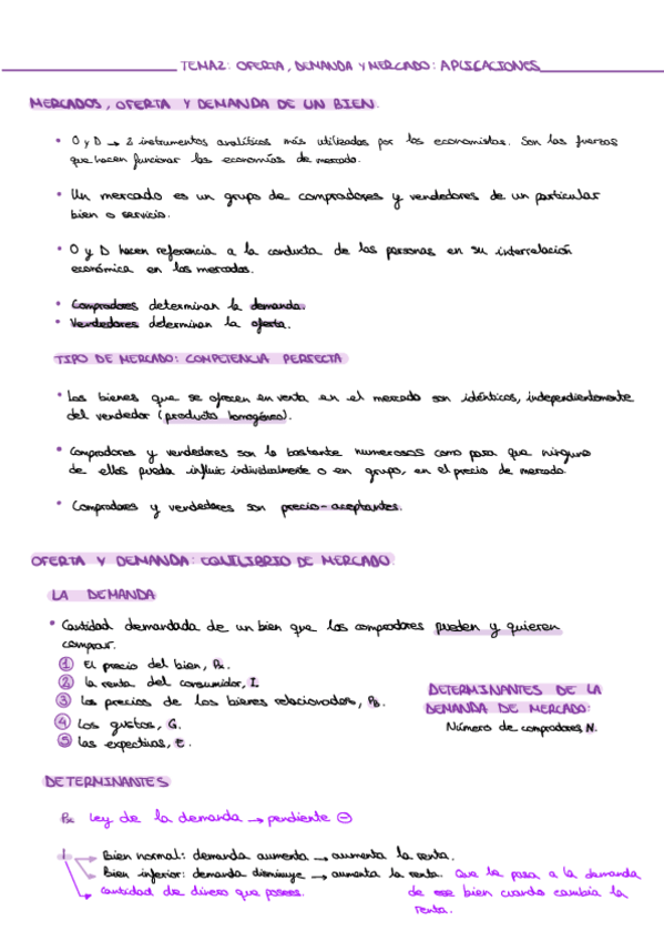 Miniatura del documento APUNTES-MICROECONOMIA-T2.pdf