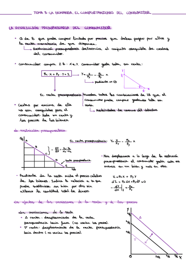 Miniatura del documento APUNTES-MICROECONOMIA-T3-1.pdf