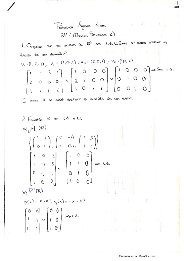 Miniatura del documento RP2.pdf