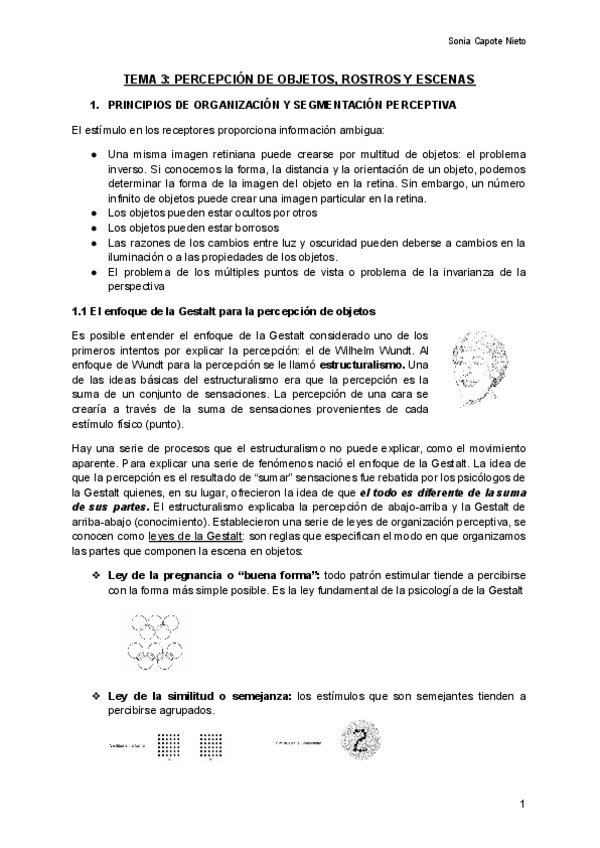 Miniatura del documento TEMA-3-PERCEPCION-DE-OBJETOS-ROSTROS-Y-ESCENAS.pdf